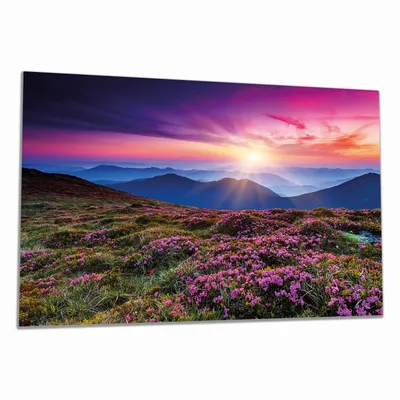 Produktbild von Wallario Herdabdeckplatte aus Glas, Größe 90 x 52 cm 1-teilig, Motiv Blumenbedeckte Wiese bei Sonnenuntergang