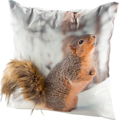 Produktbild von Gilde Kissen, quadratisch, Eichhörnchenmotiv, Polyester, braun, creme, VE 3 Höhe: 45.00 cm Breite: 45.00 cm Tiefe: 15.00cm 44097