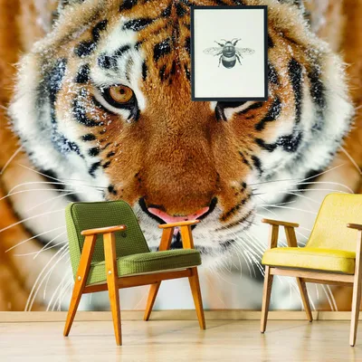 Fototapete mit Tigermotiv, Modell 034-079 – Decords, Produktansicht 1