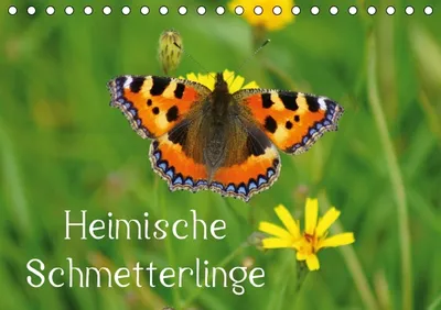 Produktbild von Calvendo Kunterbunte Tagfalter in der Natur (Tischkalender, 14 Seiten) 978-3-660-46543-3