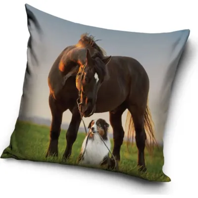 Imagen del producto de Povlak para cojín con motivos de caballo y Border Collie