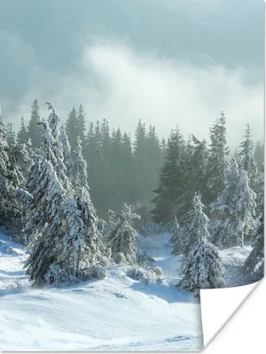 Produktbild von MuchoWow® Poster Wald - Schnee - Winter 120x160 cm - Wandbilder