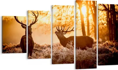 Produktbild von Bild auf Leinwand - Leinwandbild - Deer Heidekraut Tier - 100x60cm - Wand Bild - Wanddeko - Leinwanddruck - Bilder - Kunstdruck - Wanddekoration - Leinwand bilder - Wandkunst - EG100x60-3043