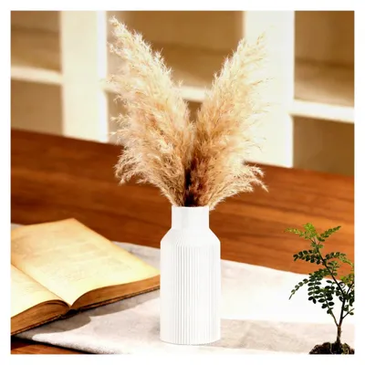Produktbild von 2 Stück Boho Keramikvase 20 cm Weiße Blumenvase für Pampasgras Dekovase Matt für Blumen Deko Ästhetik Wohnzimmer Büro Badezimmer Tischdeko