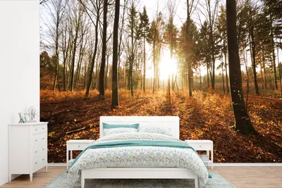Produktbild von MuchoWow® Fototapete für Wohnzimmer oder Schlafzimmer Wandtapete Vinyl Motivtapete Sonne - Bäume - Wald - 450x300 cm - Gemusterte
