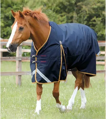 Produktbild von Premier Equine Buster 50g Original Weidedecke Blau 198 cm Blau 198 cm