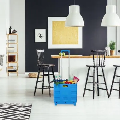 Produktbild von Famanu Einkaufstrolley mit 2 Rädern, teleskopischem Griff, bis 35 kg, faltbar, blau