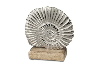 Produktbild von Geschenke und maritime Dekoration Muschel 13cm aus massivem Mango-Holz
