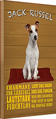 Produktbild von Holzschild Spruch 20x30cm Jack Russel Hund charmant