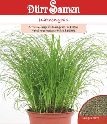 Produktbild von Katzengras | Katzengräsersamen von Dürr Samen