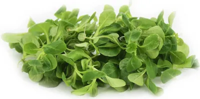 Produktbild von Feldsalat frisch, ungewaschen (ca. 100 g)