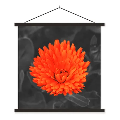 Produktbild von MuchoWow® Textilposter Blumen - Orange - Schwarz - Weiß 60x60 cm mit schwarzem Rahmen - Posteraufhänger