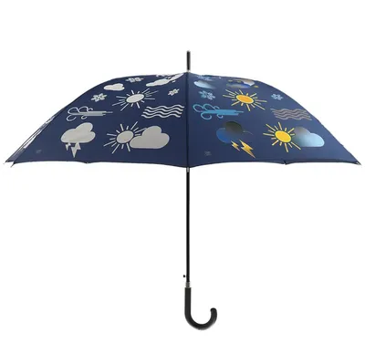 Produktbild von Esschert Design Regenschirm Farbwechsel mit Wettersymbolen
