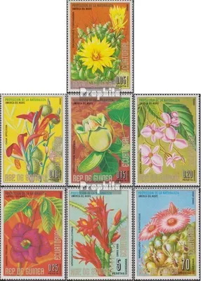 Produktbild von Briefmarken Äquatorialguinea 1974 Mi 421-427 (kompl.Ausg.) postfrisch Blumen und Kakteen