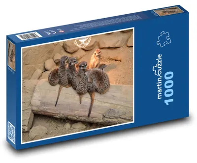 Obrázok produktu pre Puzzle 1000 Rodina surikát na výlete - martinpuzzle