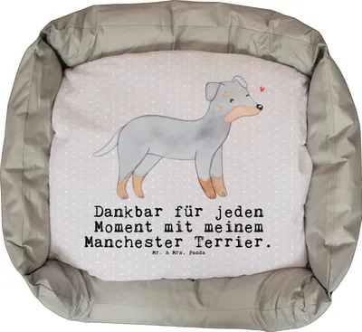 Produktbild von Mr. & Mrs. Panda Hundekissen Manchester Terrier Moment - Grau Pastell - Geschenk, Vatertag, Valentinstag, Hund, Weihnachten, Welpen, Geburtstag