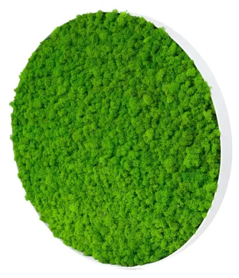 Produktbild von Rundes Moosbild Iceland Design (⌀80 cm, weiß)