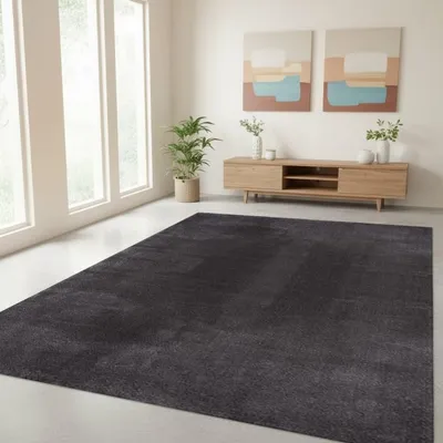 Produktbild von TapisTrend Zotteliger Teppich Anthrazit 120x160 cm Schlichter, waschbarer, rutschfester mit weichem 19 mm Flor für Wohnzimmer, Schlafzimmer und Esszimmer