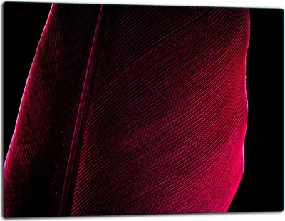 Produktbild von Glasschneidebrett Herdabdeckplatte Glaskeramikkochfeld Universal 52x40 cm Laub Schwarz