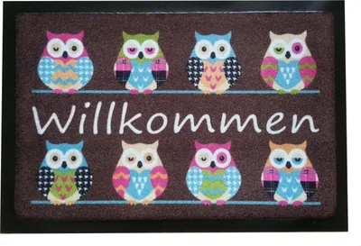 Produktbild von Fußmatte Fußabtreter Schmutzmatte Motiv Design Eule OWL -braun