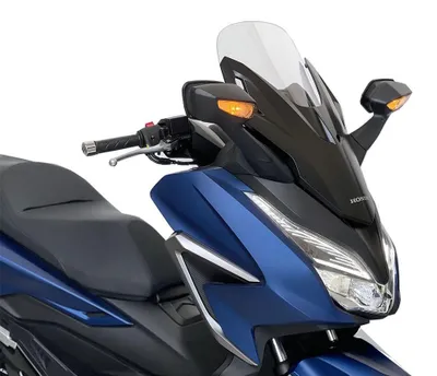 Image de WSCRN Standard, modèle FORZA 350, couleur