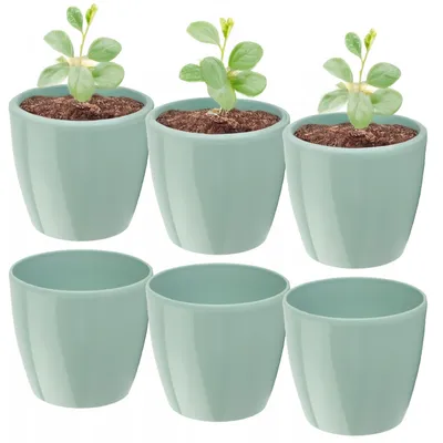 Produktbild von Set 6x Blumentopf Blumenkübel Matilda Runder Pflanzer Pflanztopf 12x11cm Grün