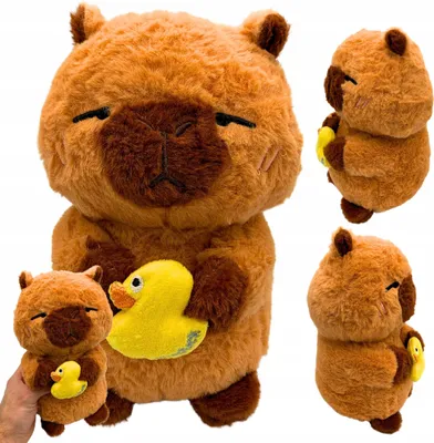 Image de Peluche Capybara avec canard Caneton Peluche 25 cm