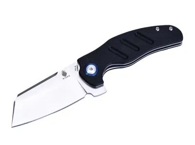 Image de Mini Berger C01C Noir