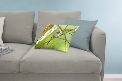 Produktbild von MuchoWow® Zierkissen Sofakissen Wohnzimmer Dekokissen 60x40 cm Vogel zwischen den Zweigen - Kopfkissen - Polster mit Foto
