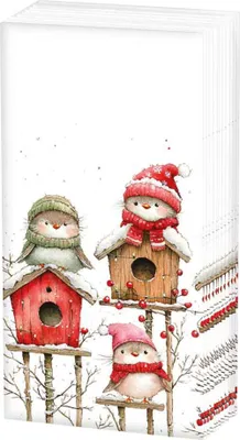 Produktbild von Ambiente Papiertaschentücher Vogelquartett 10 Stück 21 x 21 cm