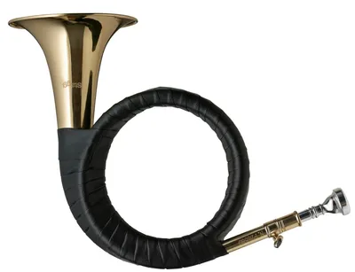 Produktbild von Stagg WS-FS275S B-Fürst-Pless-Horn im Softcase