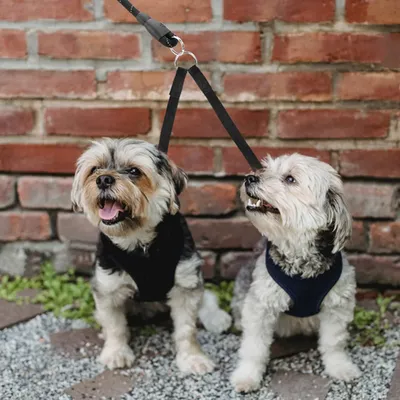 Produktbild von Doppelleine für kleine Hunde - 2-Wege Sicherheitsleine für Hundetraining