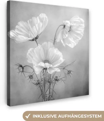 Produktbild von MuchoWow® - Leinwandbilder - Stilleben - Blumen - Schwarz und weiß - Mohn - Botanisch, Wandbild, Wanddeko Bilder Wohnzimmer, 20x20 cm