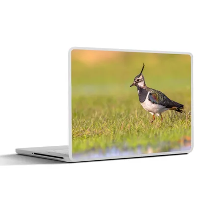 Produktbild von MuchoWow® Laptop Aufkleber Sticker Cover Vogel - Gras - Natur - Tiere - Kiebitz 32.5x23.5 cm - Sticker für Laptop - Selbstklebend