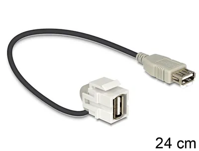 Produktbild von Delock - Modulare Eingabe - USB Type A