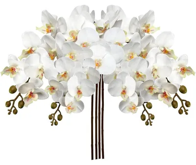 Image de Orchidée artificielle avec 9 fleurs, aspect réaliste, blanche, 87,8 cm, lot de 4