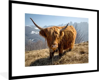 Produktbild von MuchoWow® MuchoWow® Gerahmtes Poster Schottisches Hochlandrind - Berg - Schnee 90x60 cm - Poster mit zchwarzem Bilderrahmen - Wanddekoration - Fotos