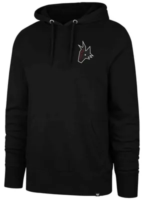 Produktbild von Hoodie 47 Brand HV025PMDDFH für Uni
