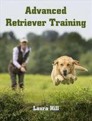Immagine prodotto di Advanced Retriever Training