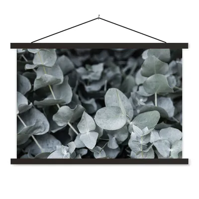 Produktbild von MuchoWow® Textilposter Natur - Pflanzen - Eukalyptus - Blätter 90x60 cm mit schwarzem Rahmen - Aufhängungssatz