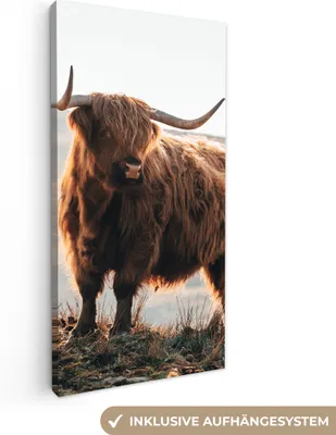 Zdjęcie produktu dla MuchoWow® - Obraz na płótnie - Szkocki góral - Zwierzęta - Wiejski - Krajobraz - Krowa - Natura, fototapeta ścienna, obrazy dekoracyjne do salonu, 20x40cm