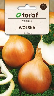 Image de Toraf Graines potagères Oignon Wolska, paquet de 5g