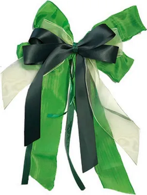 Obrázok produktu pre Nestler darčeková stuha zelená cca 17 x 31 cm