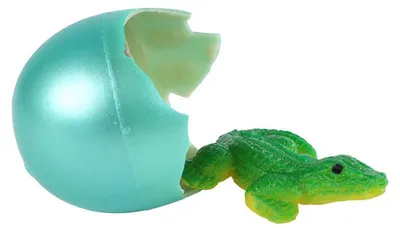 Image de Œuf de rosée crocodile 6cm 621713 03737