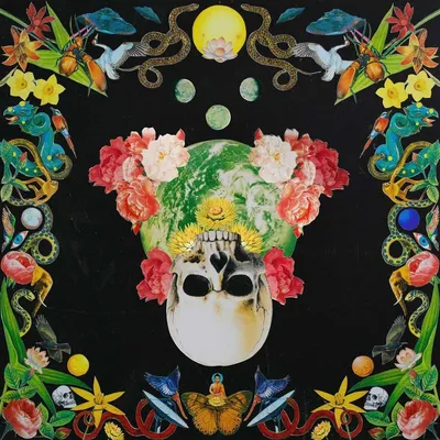 Immagine prodotto di Hippie Death Cult: Helichrysum - - (LP / H)