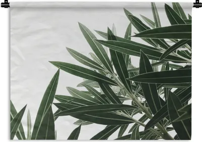 Produktbild von MuchoWow® Wandteppich Wandbehang Natur - Pflanzen - Blätter 150x112.50 cm Tapisserie Dekoration Wandtuch - Wanddecke - Wandteppiche