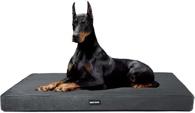 Produktbild von Orthopädisches Hundebett 10cm dick grau 120cm