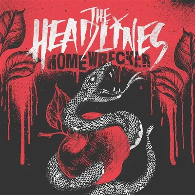 Image de Homewrecker (vinyle marbré noir et blanc)
