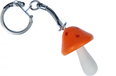 Produktbild von Pilz Fliegenpilz Schlüsselanhänger Pilzanhänger Anhänger Miniblings orange