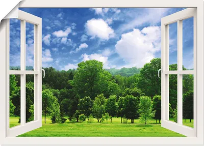 Produktbild von ARTland Poster Fensterblick - Grüner Wald Größe: 70x50 cm